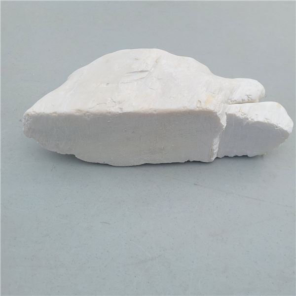 Incomplete Soapstone Carving