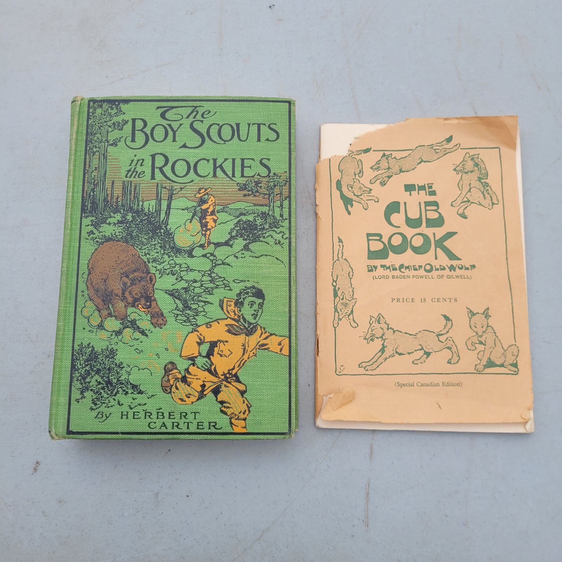 Vtg Books The Boy Scouts in the Rockies & The Cub Book
