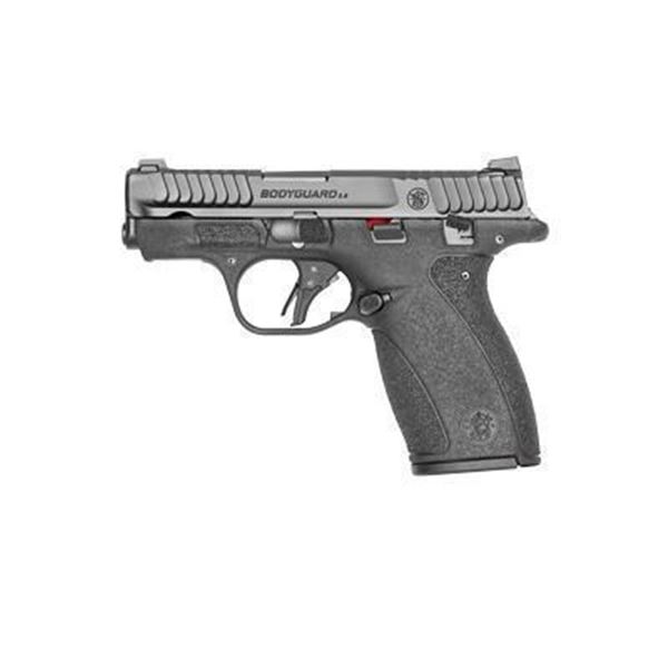 S&W M&P BDYGRD 2.0 380ACP 10RD TS