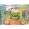 Image 6 : #7 TEENAGE MUTANT NINJA TURTLES MUTANT RAPHAEL CIB