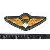 Image 1 : #194  CANADIAN AIRBORNE QUALIFICATION JUMP WINGS