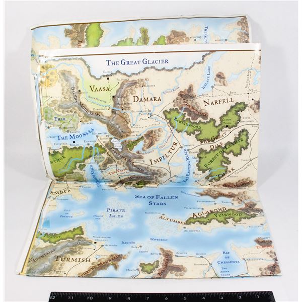 #454 2001 DUNGEONS & DRAGONS FAERUN MAP 40X60