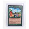 Image 1 : #515 MAGIC THE GATHERING SEEDS OF INNOCENTS CARD