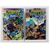 Image 8 : #1115 EASTMAN AND LAIRD'S TMNT #1 -51 COMIC LOT