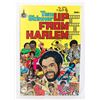Image 1 : #1310 SPIRE COMICS TOM SKINNER UP FROM HARLEM 1975