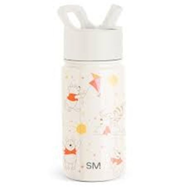 NEW 14OZ DISNEY SUMMIT WATER BOTTLE SIMPLE MODERN