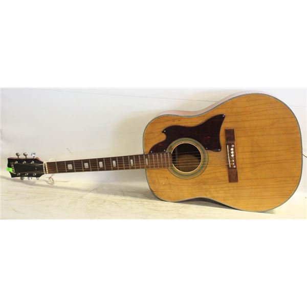 RAVEN ACOUSTIC GUITAR - DECOR ONLY