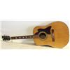 Image 1 : RAVEN ACOUSTIC GUITAR - DECOR ONLY