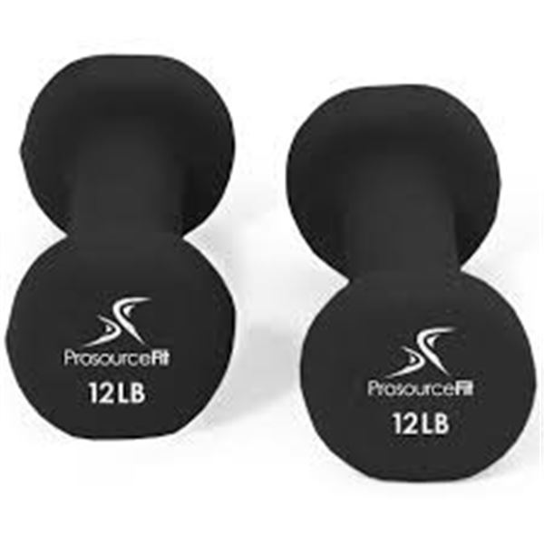 NEW 2 X 12LB DUMBBELLS