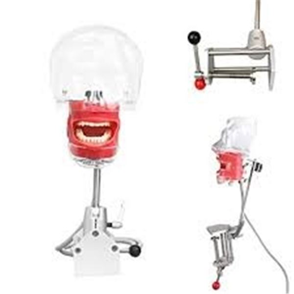 NEW DONEW DENTAL SIMULATOR MANIKIN PHANTOM