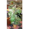Image 1 : 7FT TALL FAUX PLANT