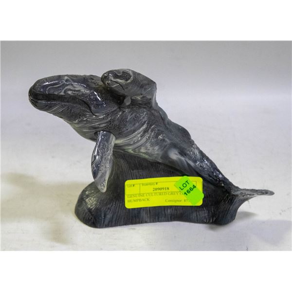 GENUINE CULTURED GREY ONYX HUMPBACK