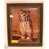 Image 1 : GREAT HORNED OWL PHOTO BY J MORGAN FRAMED
