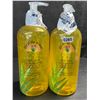 Image 1 : 2 Bottles of Lily of the Desert 99% Aloe Vera Gelly Soothing Moisturizer - 16oz Each - New