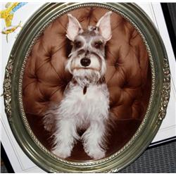 Oval Framed Print of Snowsher Dog