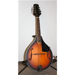 Gibson Mandolin and Soft Case