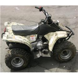 2006 Kazuma Meerkat 50 Quad