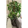 Image 1 : RS - Artificial Ficus Tree