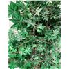 Image 3 : RS - Set of 2 Realistic Artificial Trees