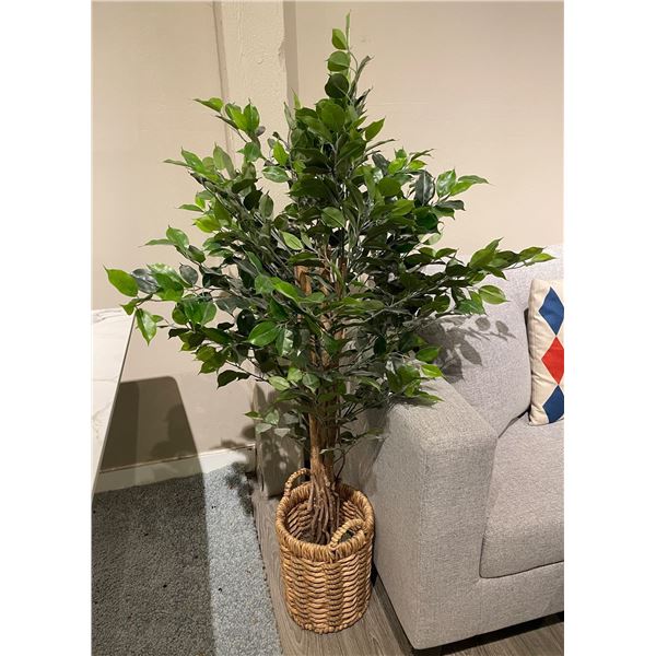 RS - Faux Ficus Tree in Woven Basket