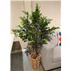 Image 1 : RS - Faux Ficus Tree in Woven Basket
