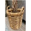 Image 2 : RS - Faux Ficus Tree in Woven Basket