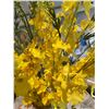 Image 2 : RS - New In Box - Elegant Tall Glass Vase