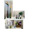Image 1 : RS - Set of 2 Tall Glasss Vase and Group of Decorative Contents
