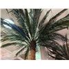 Image 2 : Large Decor Palm Tree (Approx. 13.5-14')