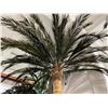 Image 2 : Large Decor Palm Tree (Approx. 13.5-14')