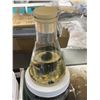 Image 2 : Alien Ooze Jar & 2x Beakers - Movie Props