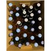 Image 3 : Group of Non-Alcoholic Beer