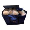 Image 1 : Professional Manikin Parts in Blue Carry Bag