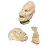 Image 1 : Expressive Ape Humanoids Masks from Dawn of Planet of Apes