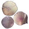 Image 1 : Set of 3 Tree-Ring Wall Art