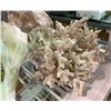Image 2 : 7 Pcs Assorted Natural Coastal Decor Items