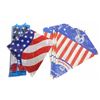 Image 1 : Group of Paper and Plastic American Flag Kites - Movie Props