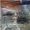 Image 3 : 3 Shelves of Craft Supplies, Home Décor & Camping Goods