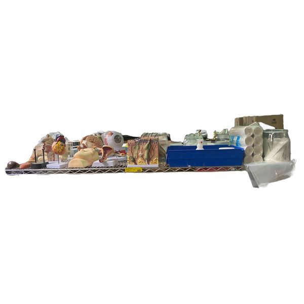 From The Good Doctor TV Series: Shelf of Medical Office Supplies & Models
