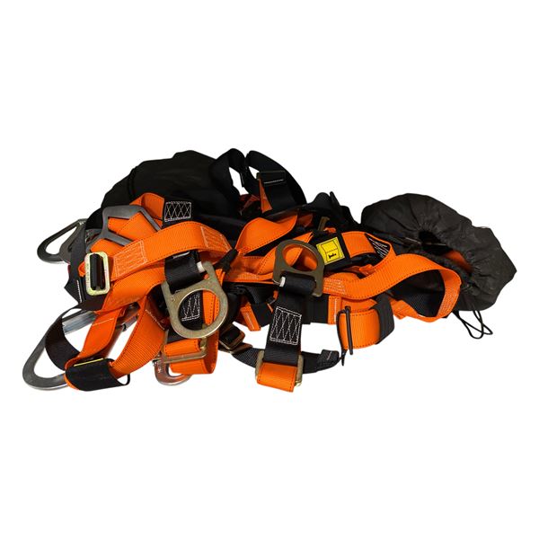 Group of Safety Harnesses