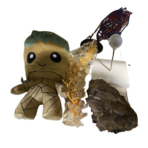 Baby Groot, Dr. Office  Anatomical Models, and Rock Formation