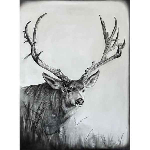 Elena Johnson Art - Original Mule deer charcoal drawing.