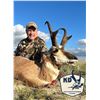 Image 2 : KD Outfitters 3 Day guided archery antelope hunt