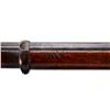 Image 9 : SNIDER ENFIELD | Model: MKIII 3 Band  | Caliber: .577 SNIDER