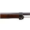 Image 15 : SWEDISH MAUSER | Model: 1896 | Caliber: 6.5 X 55