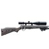 Image 2 : SAVAGE | Model: 93R17 | Caliber: .17 HMR