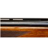 Image 8 : WINCHESTER | Model: 101 | Caliber: 12 G X 2 3/4"