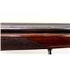 Image 13 : WINCHESTER | Model: 70 Pre 64 | Caliber: .250-3000 SAV
