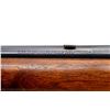 Image 9 : WINCHESTER | Model: 71 | Caliber: .348 WCF