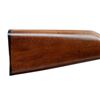 Image 10 : HENRY REPEATING ARMS | Model: Small Game Carbine H001TMLP | Caliber: .22 WIN MAG